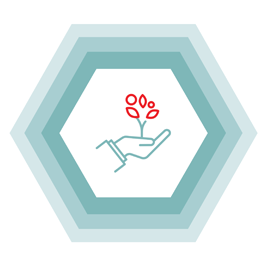Forshay Organizational Consulting